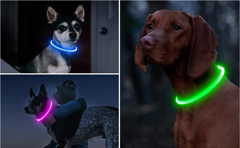 05-USB LED Collar for Night Walking with Your Dog