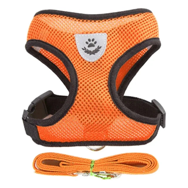 03-Breathable Harness with Leash for Cats and Small Dogs