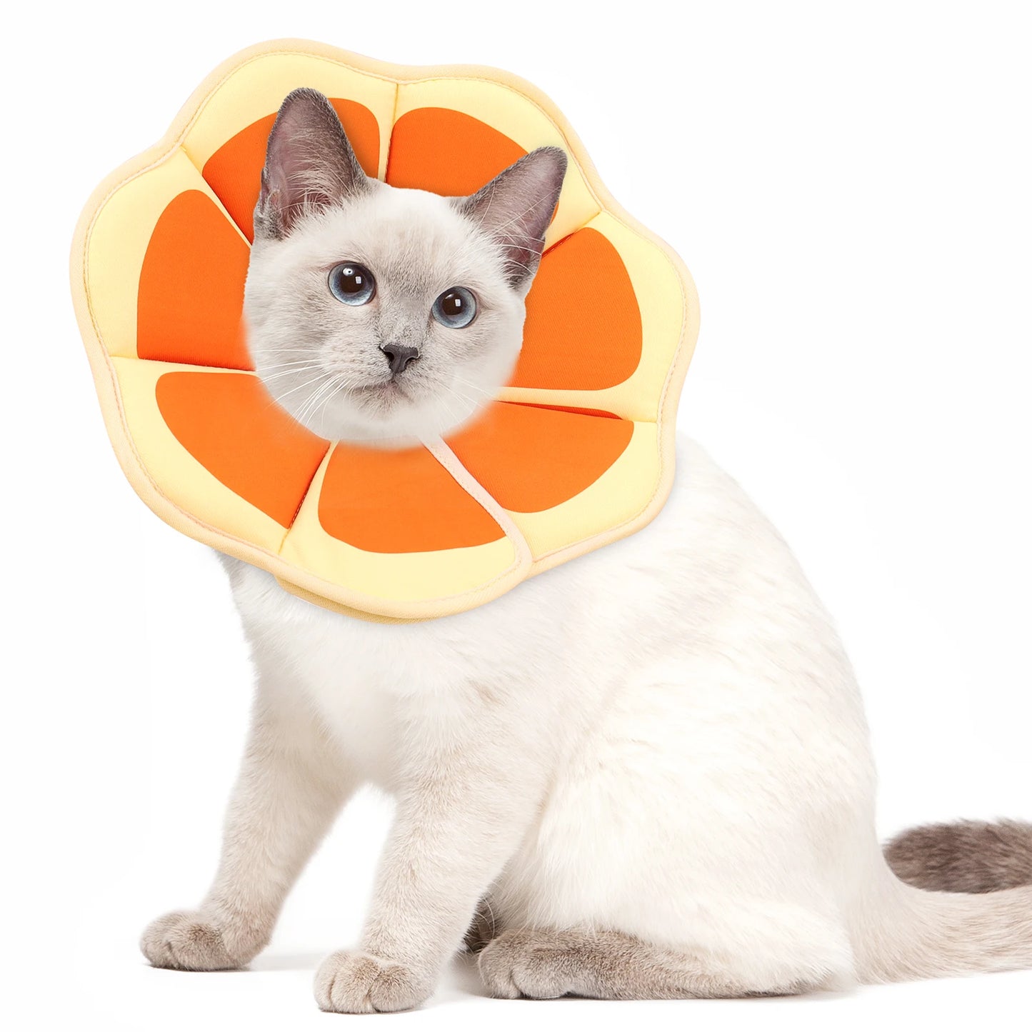 13-Collare elisabettiano, stampa a tema cartone animato