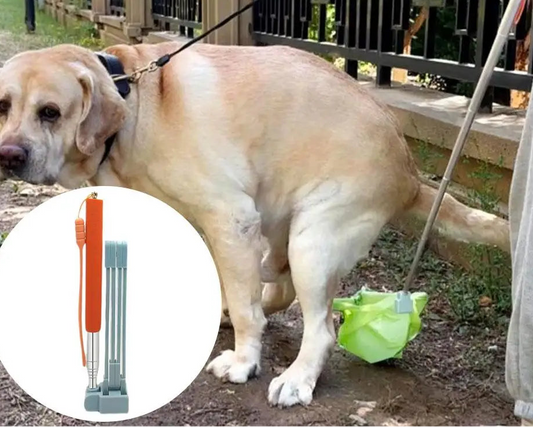 13-Paletta Igienica in Acciaio con Manico Lungo 73cm per Cani