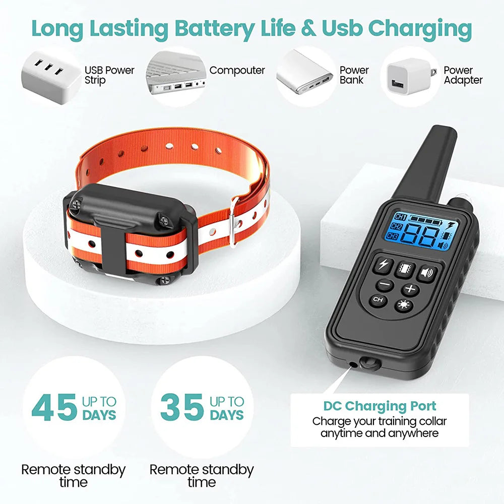 05-Electric Dog Training.