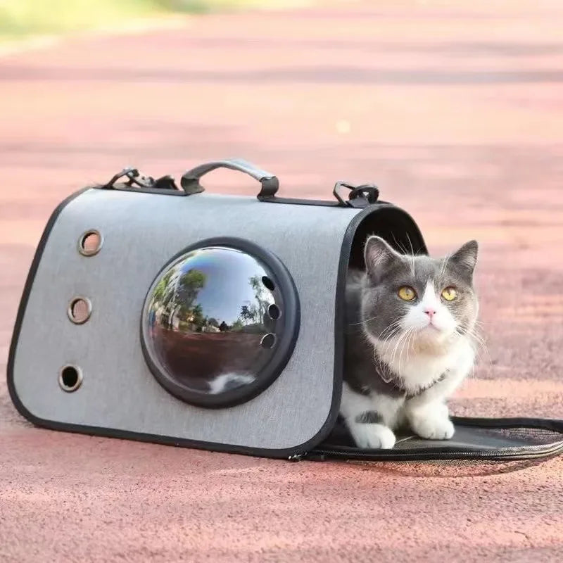 14-Space porthole carrier for dogs and cats.