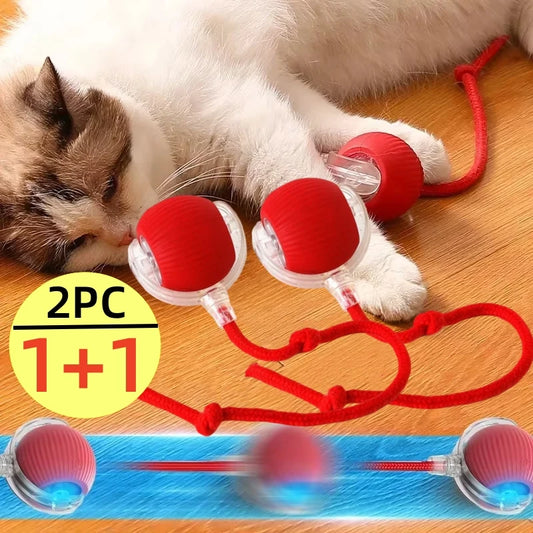 04-Interactive Cat Toys.