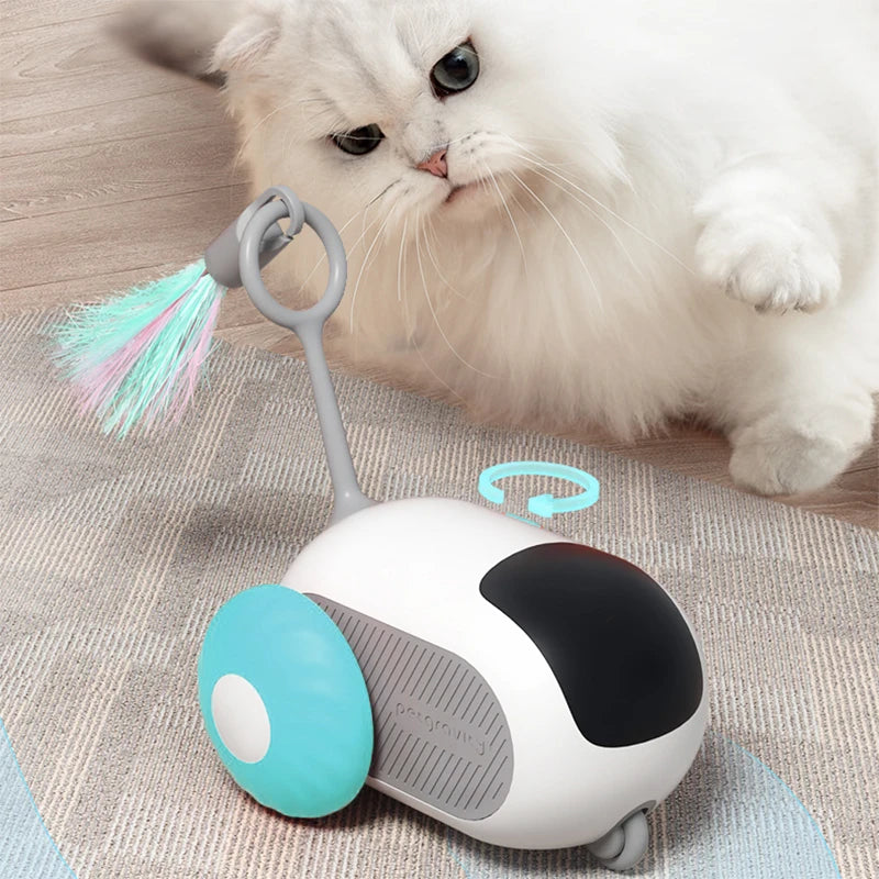 04-Intelligent and interactive play between pets.