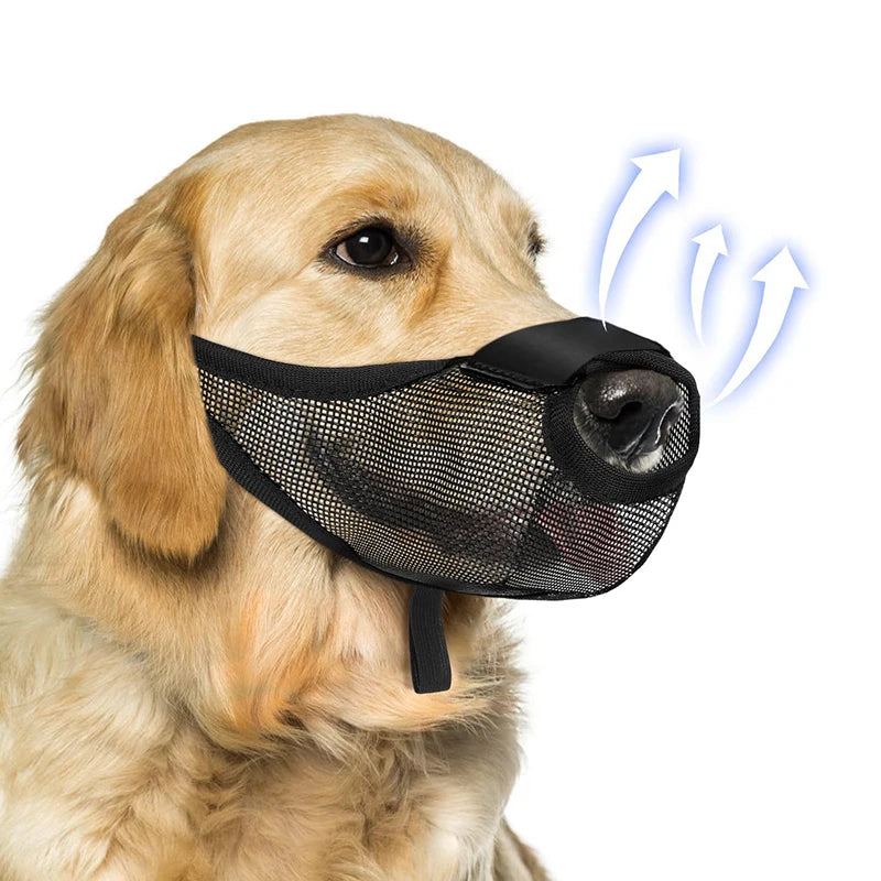 09-Filtering Mesh Muzzle for Dogs – Safety and Comfort
