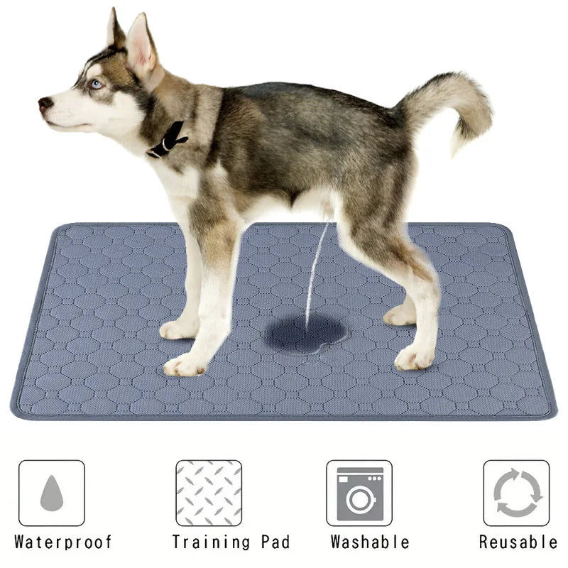 18-Washable Absorbent Mat for Dogs.