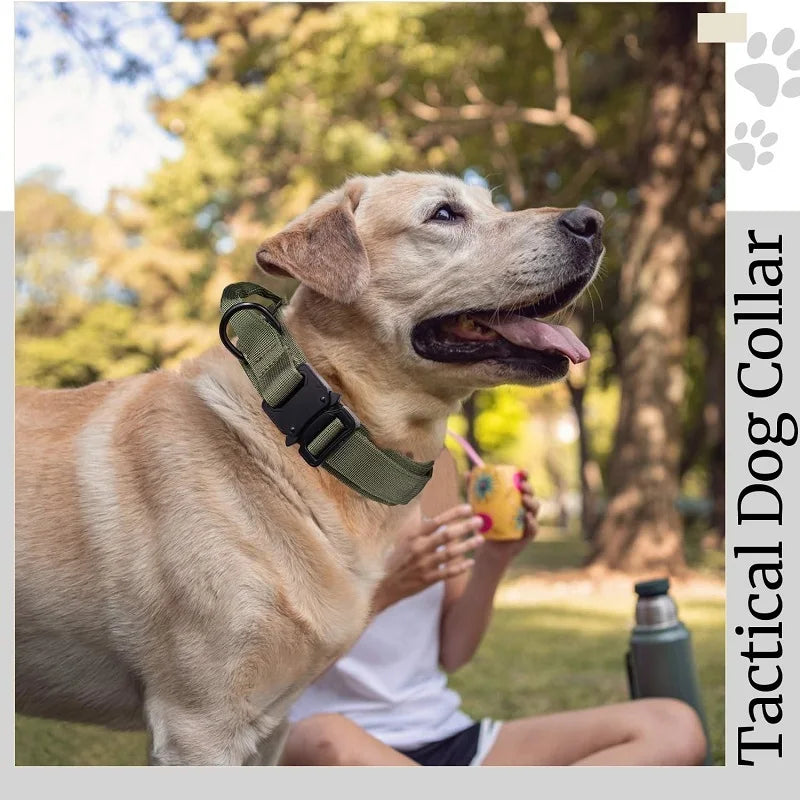 05-Adjustable Nylon Tactical Collar for Medium and Large Dogs