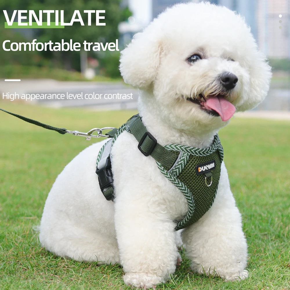 03-Breathable harness with leash for small dogs and puppies