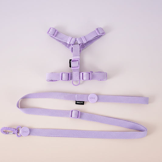 08-Pettorina e guinzaglio color pastello per cani e gatti piccoli