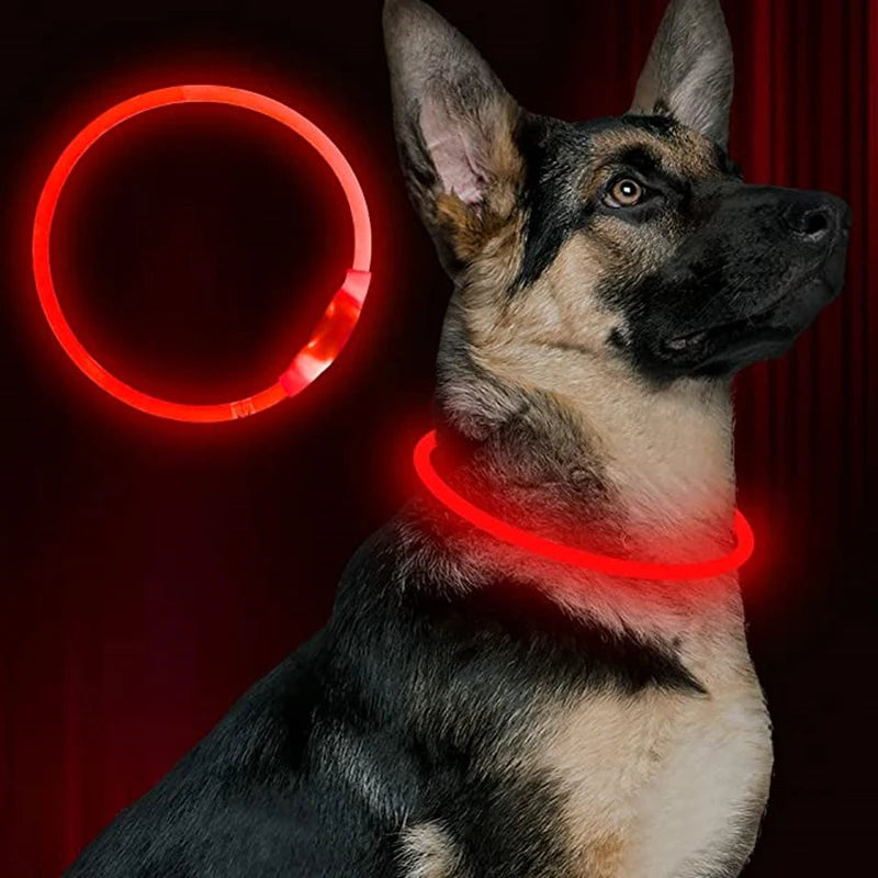 05-USB LED Collar for Night Walking with Your Dog