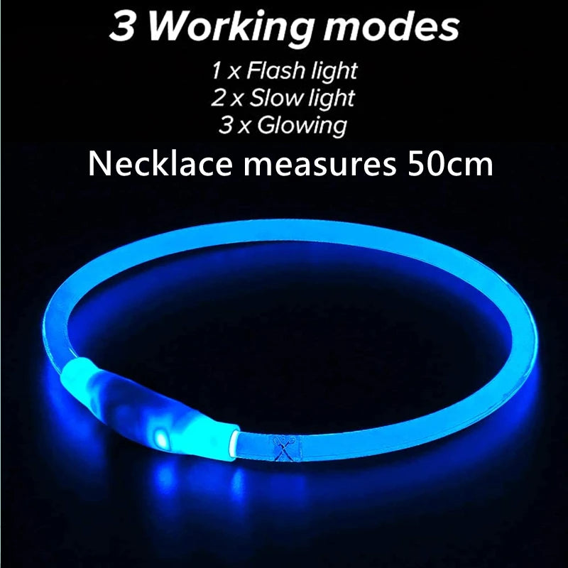 05-USB LED Collar for Night Walking with Your Dog