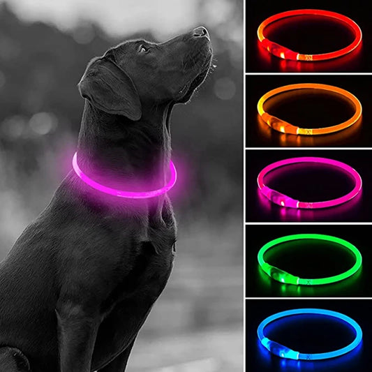 05-Collare USB a LED per Passeggiate Notturne con il Cane