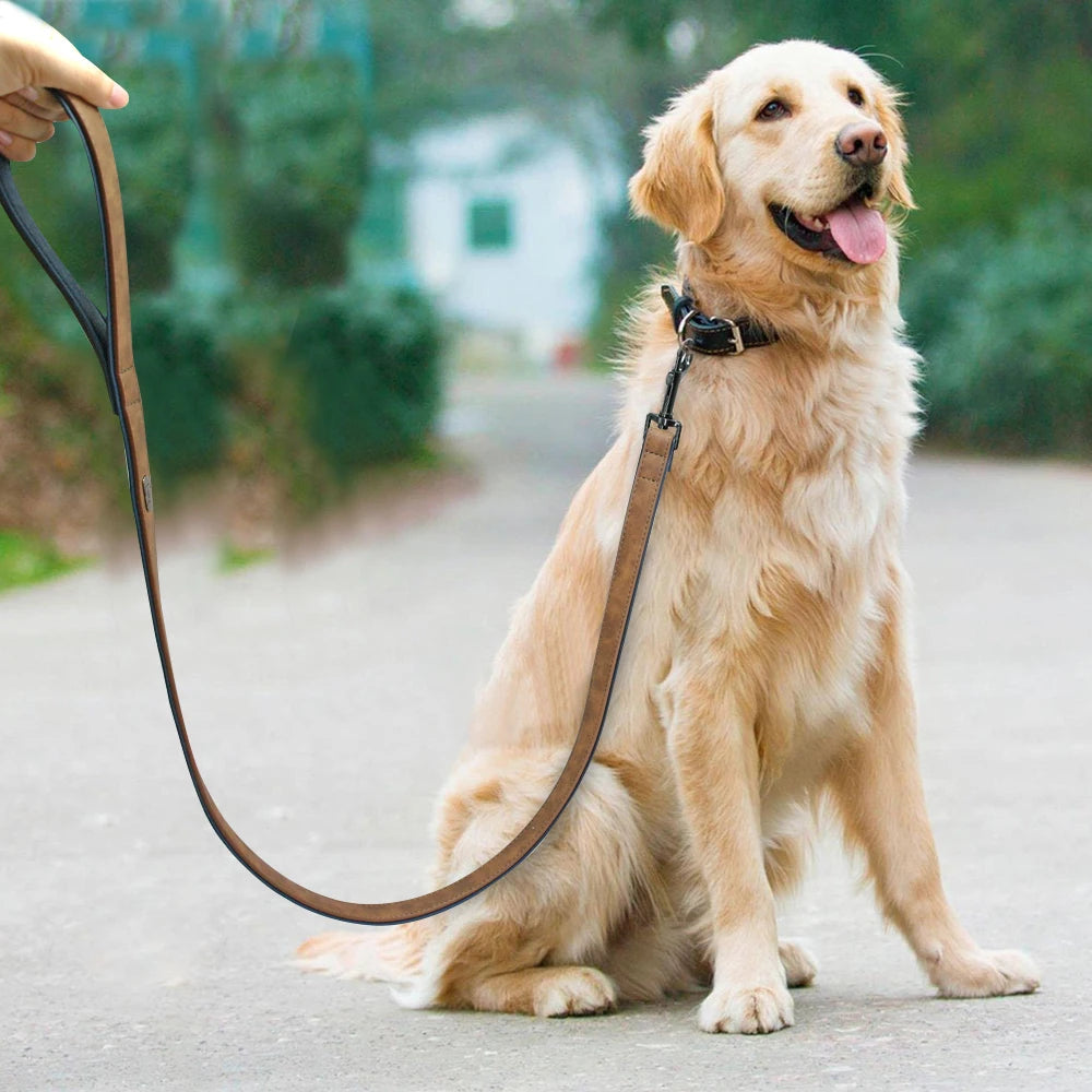 06-Dog leash