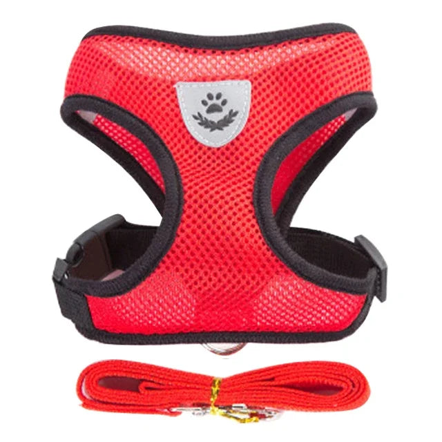 03-Breathable Harness with Leash for Cats and Small Dogs