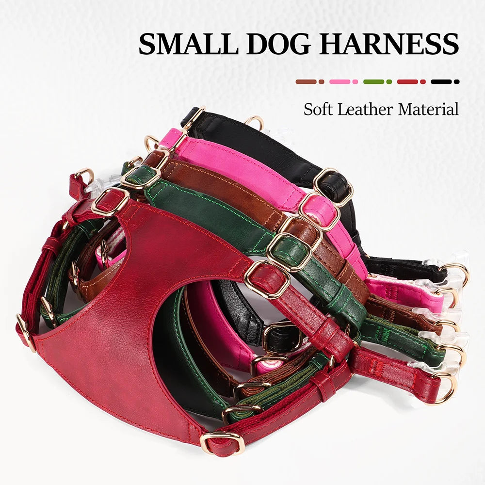 03-Harness for dogs and cats
