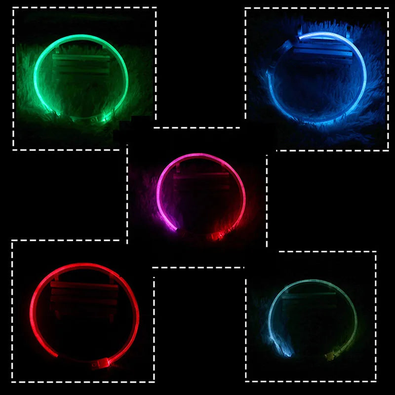 05-USB LED Collar for Night Walking with Your Dog