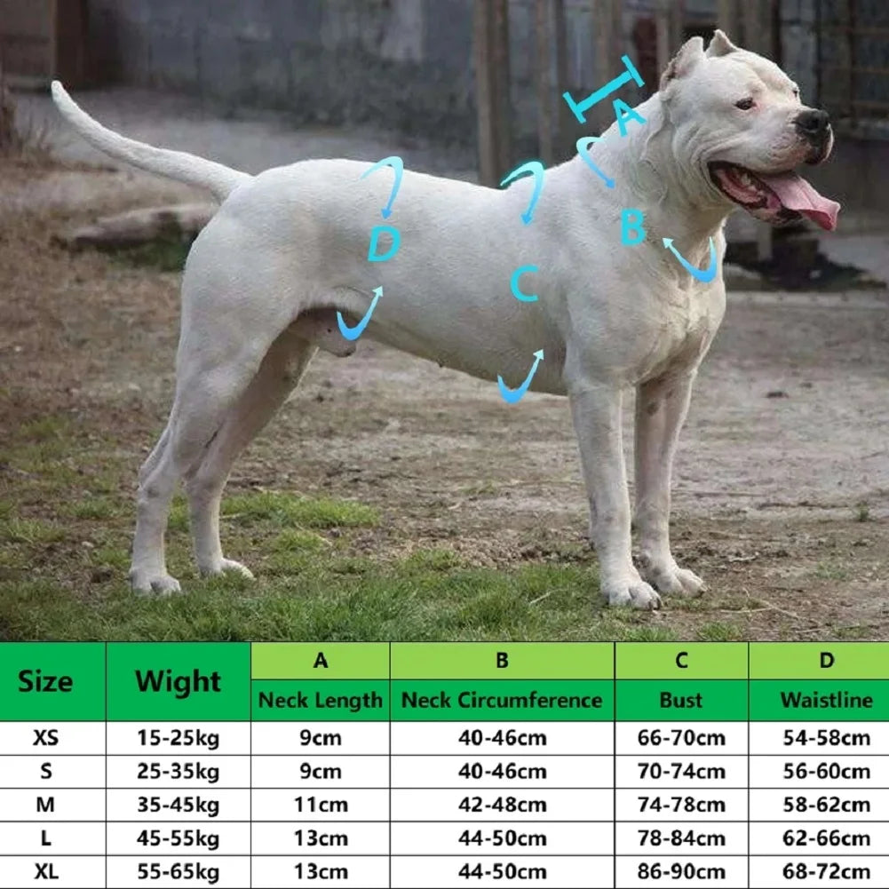 00-Gilet Protettivo Cani Caccia Cinghiale in Towex | Armatura Faithshield