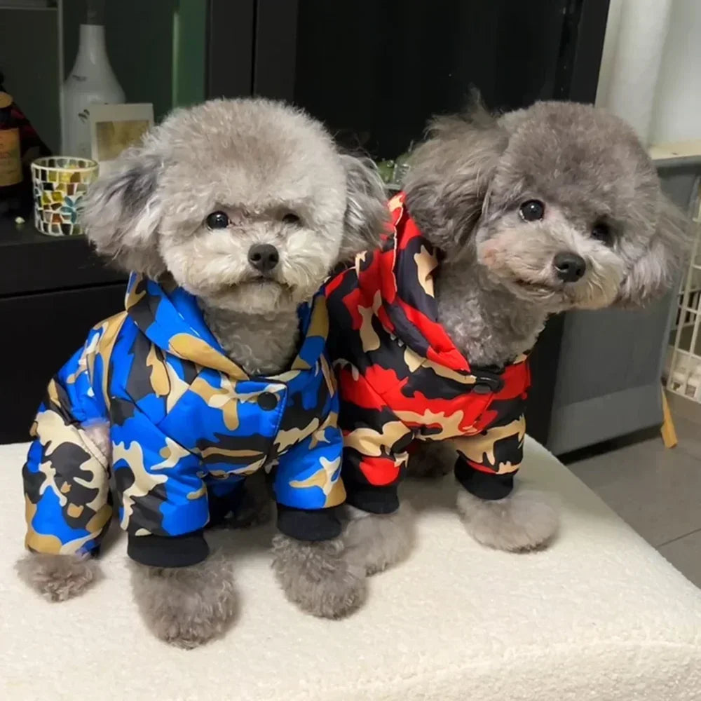 07-Warm winter jackets for dogs.