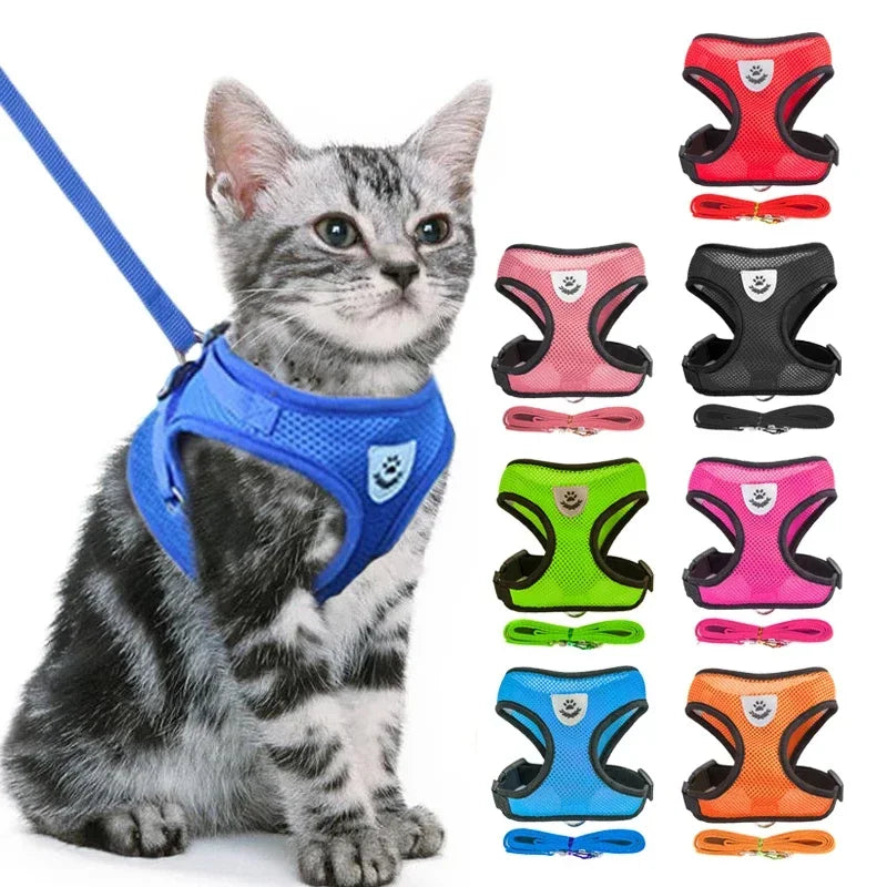 03-Breathable Harness with Leash for Cats and Small Dogs