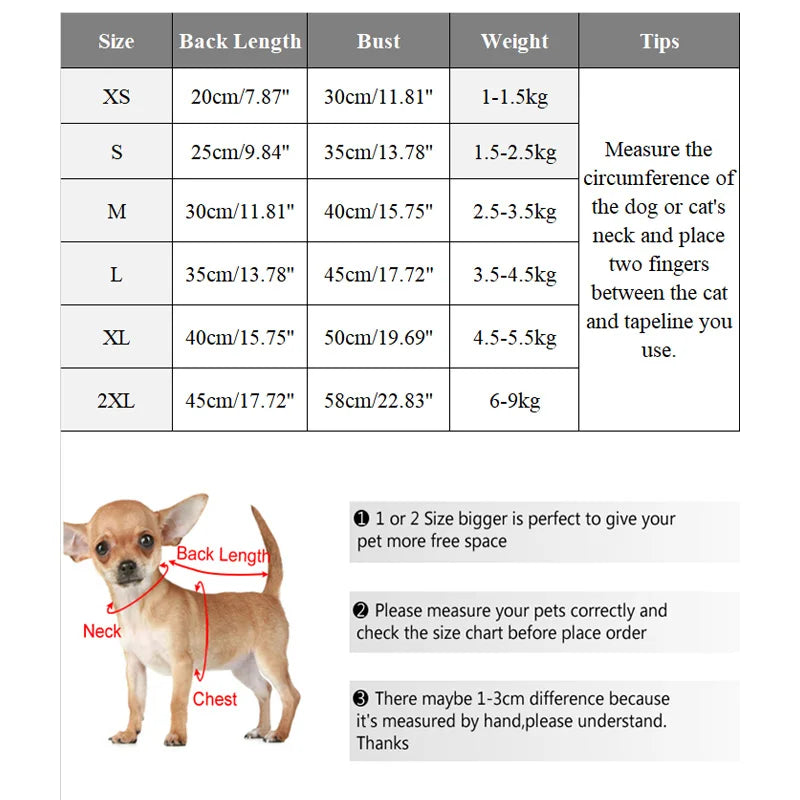 07-Piccolo Cane Grande Stile – Il Must dell’Inverno Pet