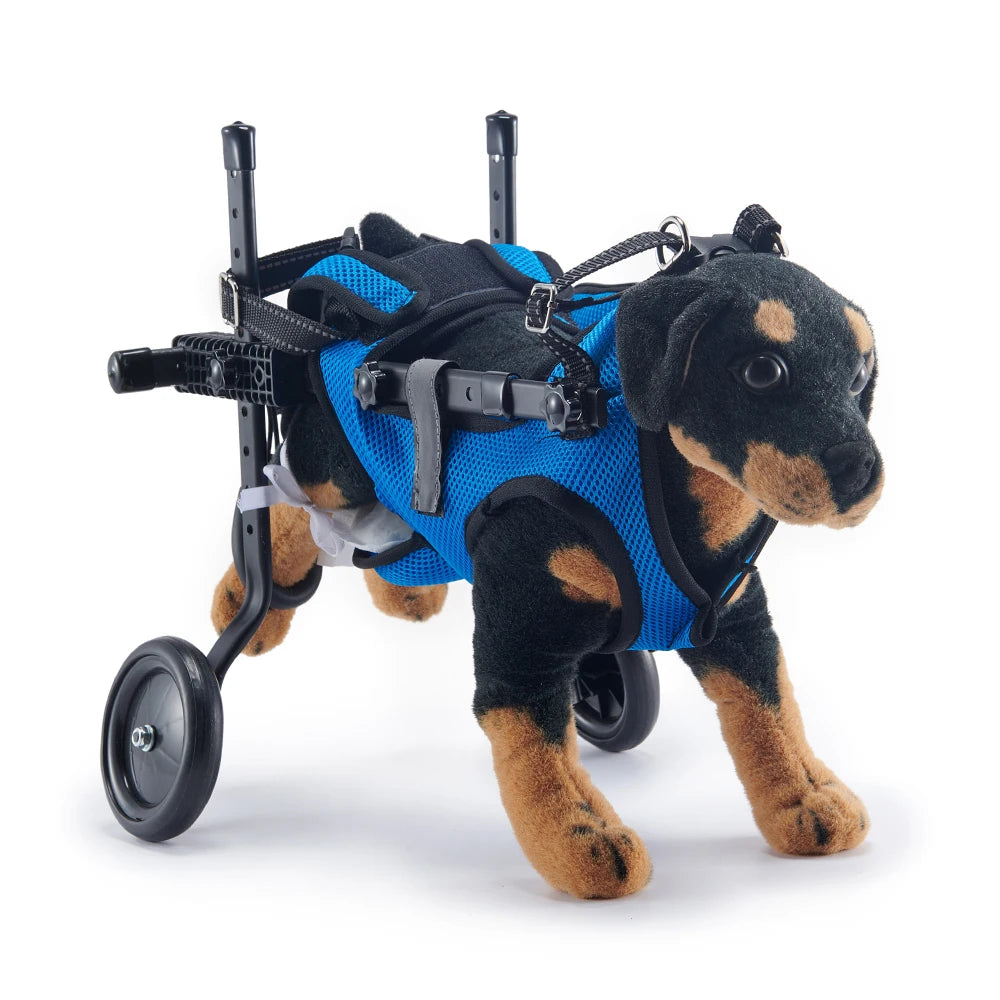 12-Veicolo per la riabilitazione dei cani