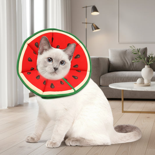 13-Collare elisabettiano, stampa a tema cartone animato