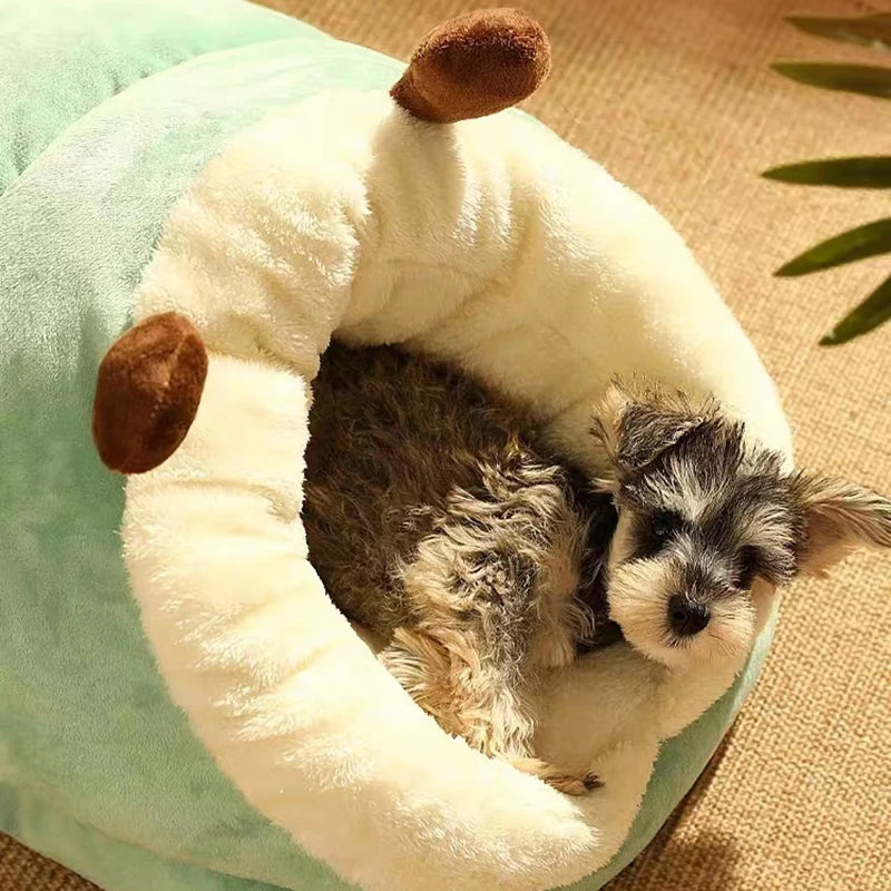 10-Slipper Bed – The Slipper Your Dog Swallowed (With Cuddles)