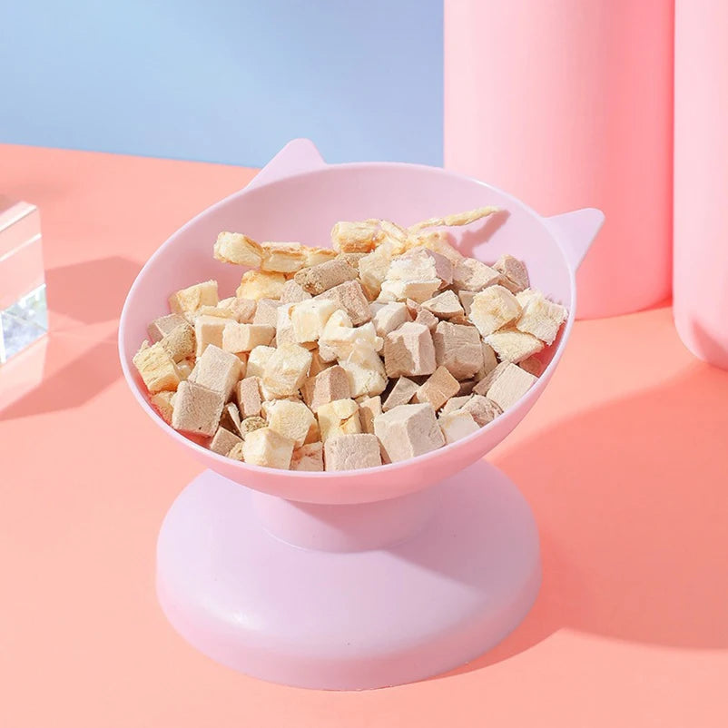 08-Raised Slanted Bowl for Dogs and Cats – Ergonomic Anti-Reflux Design.