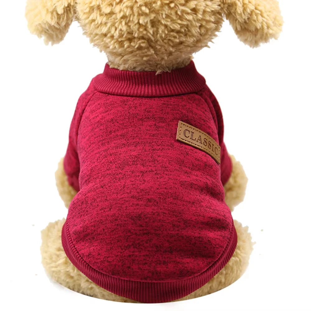 07-Piccolo Cane Grande Stile – Il Must dell’Inverno Pet