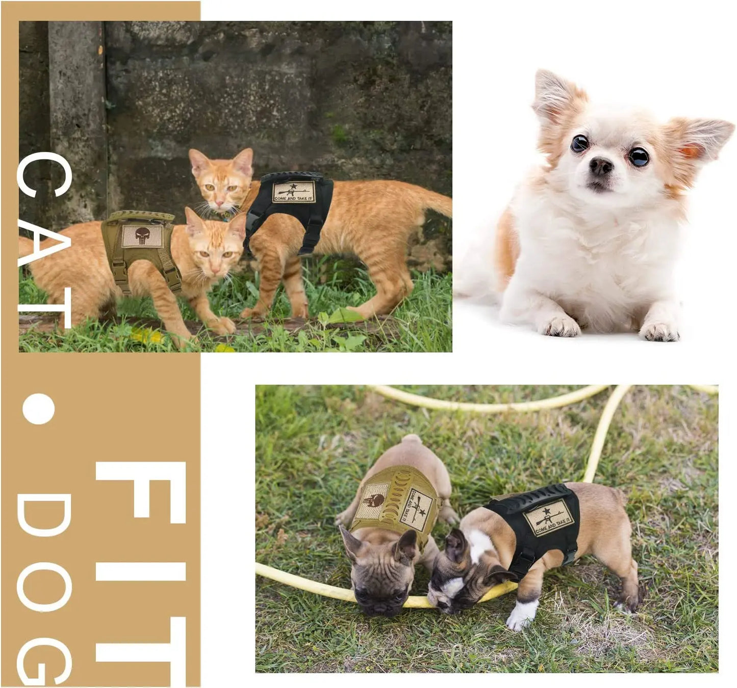 03-Adjustable Tactical Vest for Small Dogs – Outdoor &amp; Training