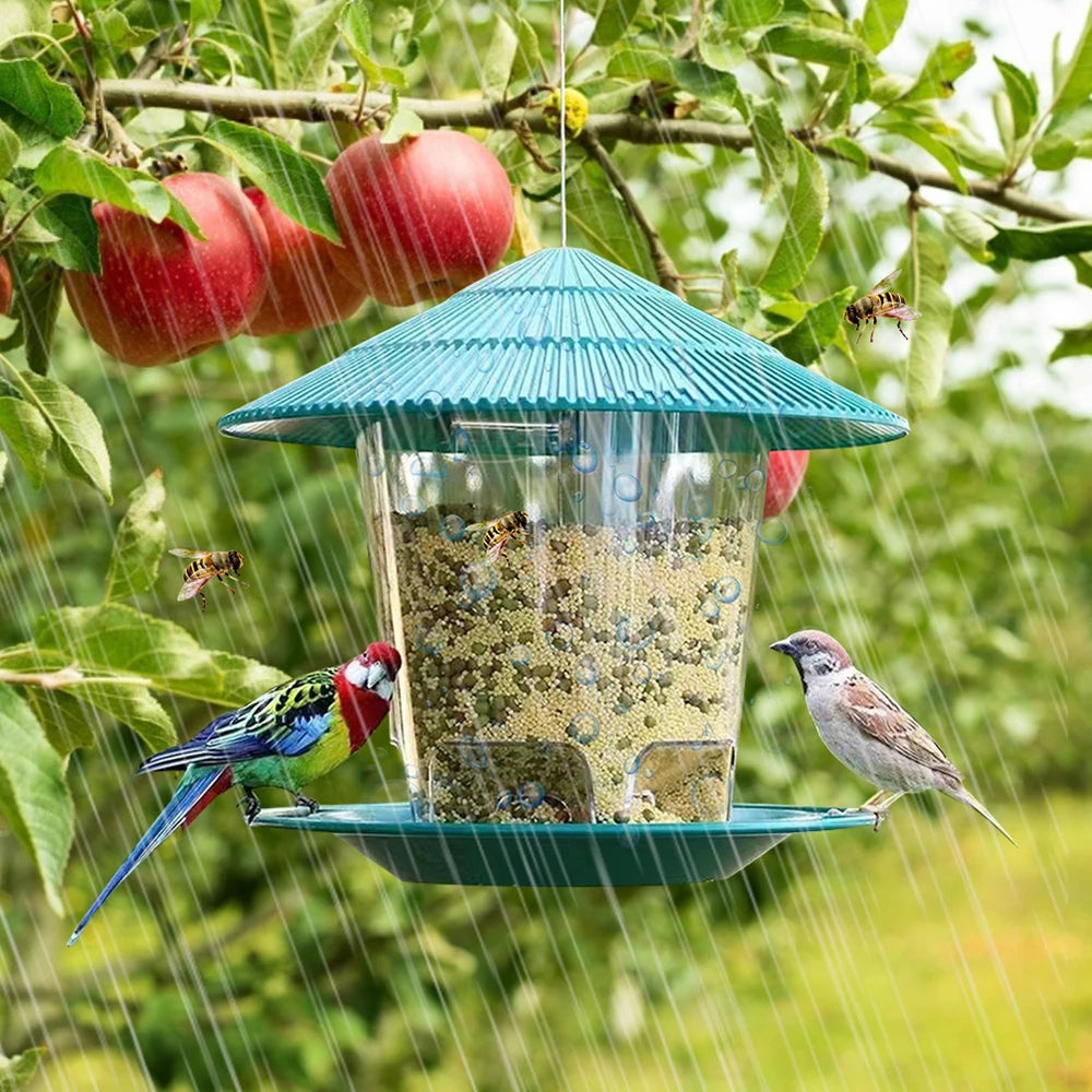 11-Bird Feeder Automatic.