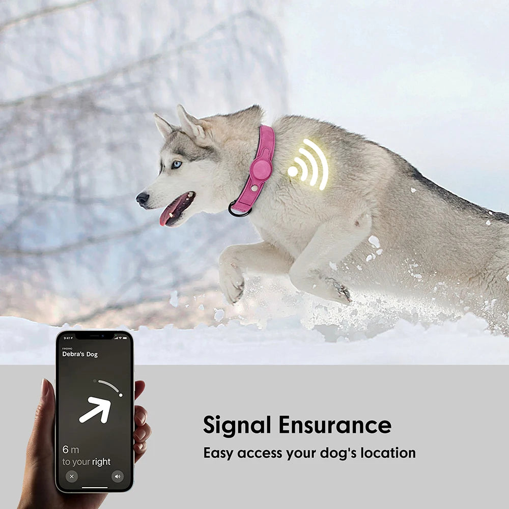 001-aCollare GPS in pelle per cani – Antismarrimento e regolabile