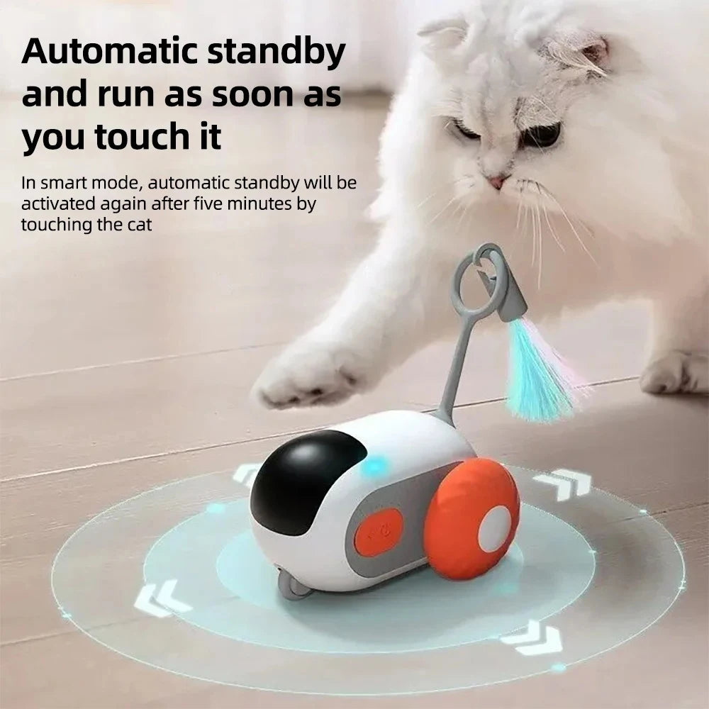 04-Interactive Cat Toy – Automatic Movement and Learning