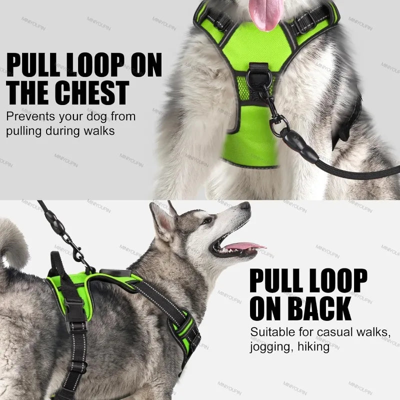 08-Pettorina LED ricaricabile per cani con 3 modalità di illuminazione