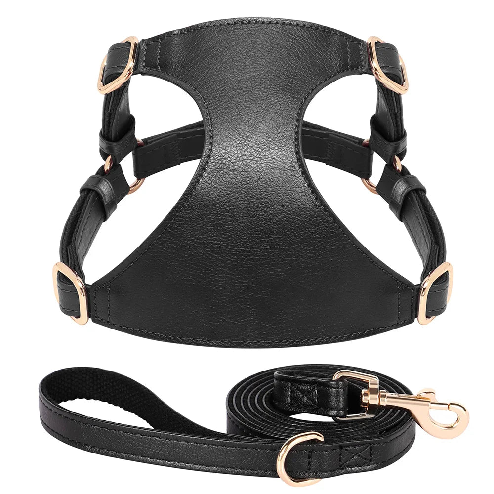 03-Harness for dogs and cats