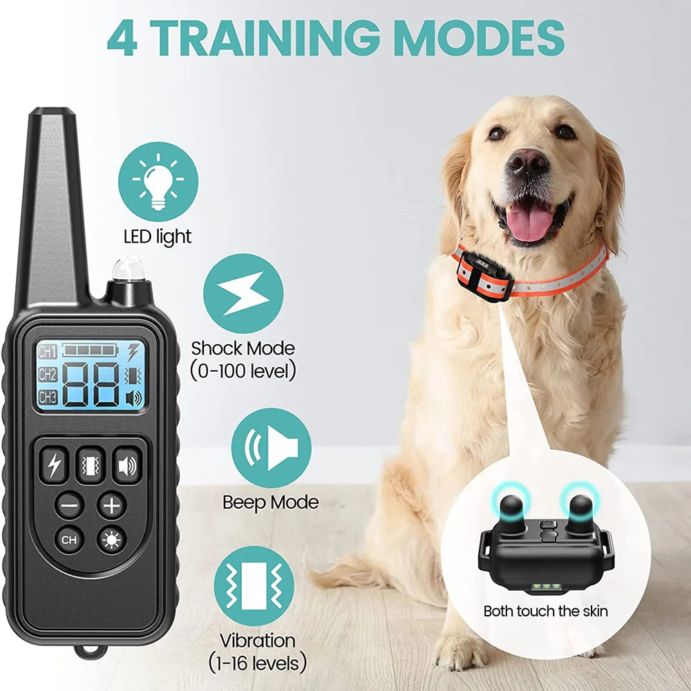 05-Electric Dog Training.