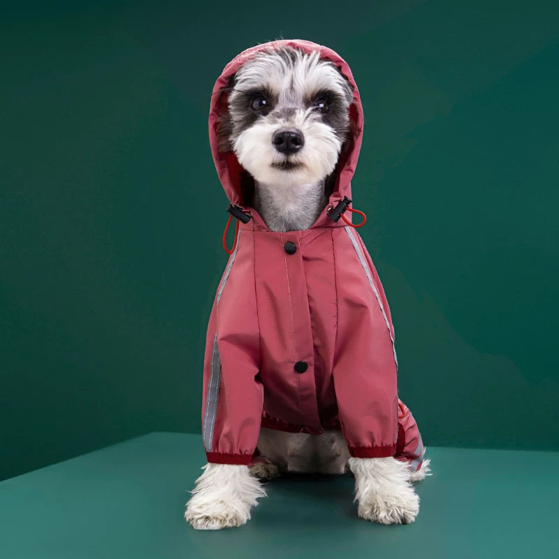 07-Petwear|Vestitino impermeabile per il tuo cane.