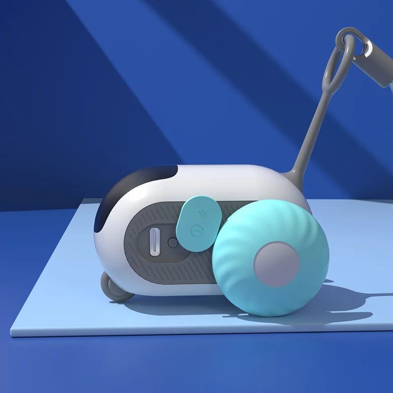 04-Intelligent and interactive play between pets.