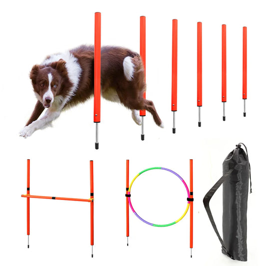04-Dog Agility Equipment.