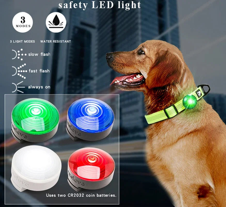 05-Truelove LED Dog Light | Nighttime and Outdoor Safety