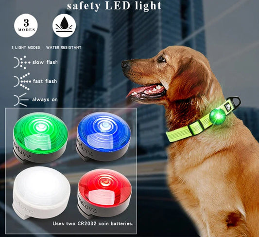 05-Luce LED  per Cani | Sicurezza Notturna e Outdoor