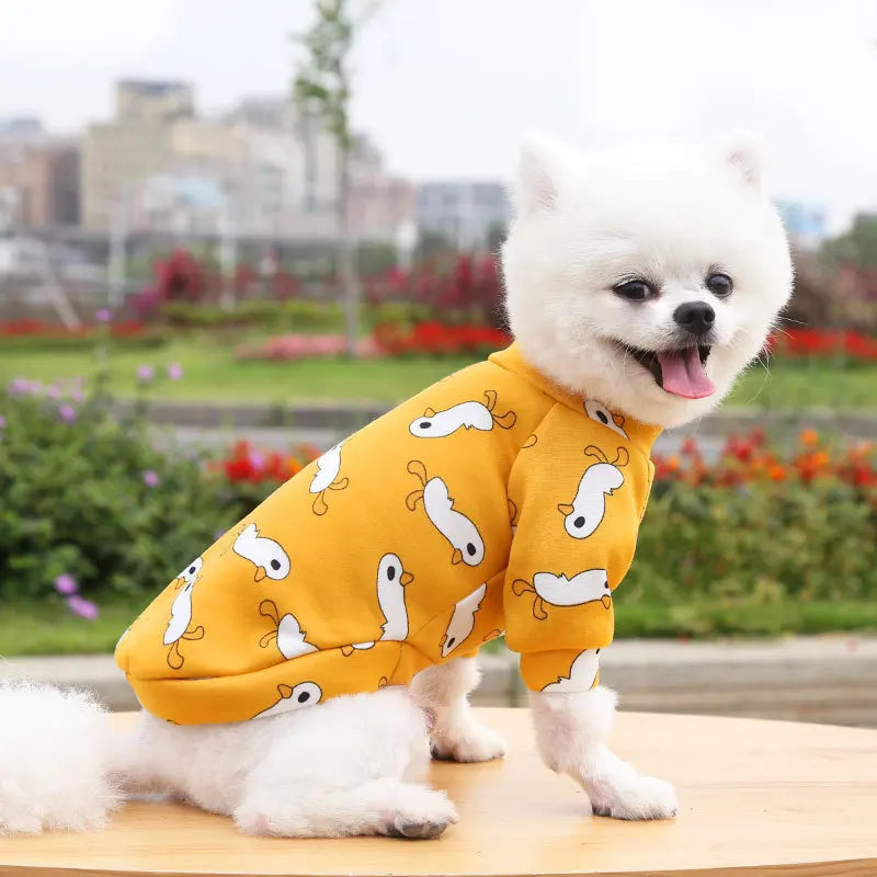 07-Piccolo Cane Grande Stile – Il Must dell’Inverno Pet