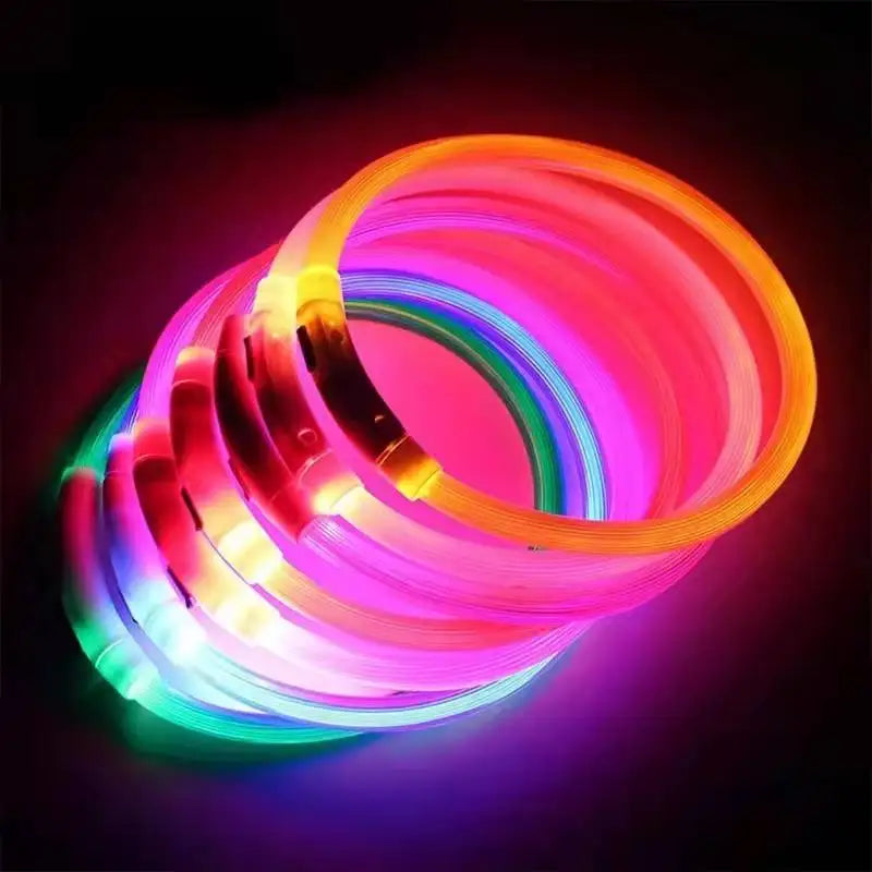 05-USB LED Collar for Night Walking with Your Dog