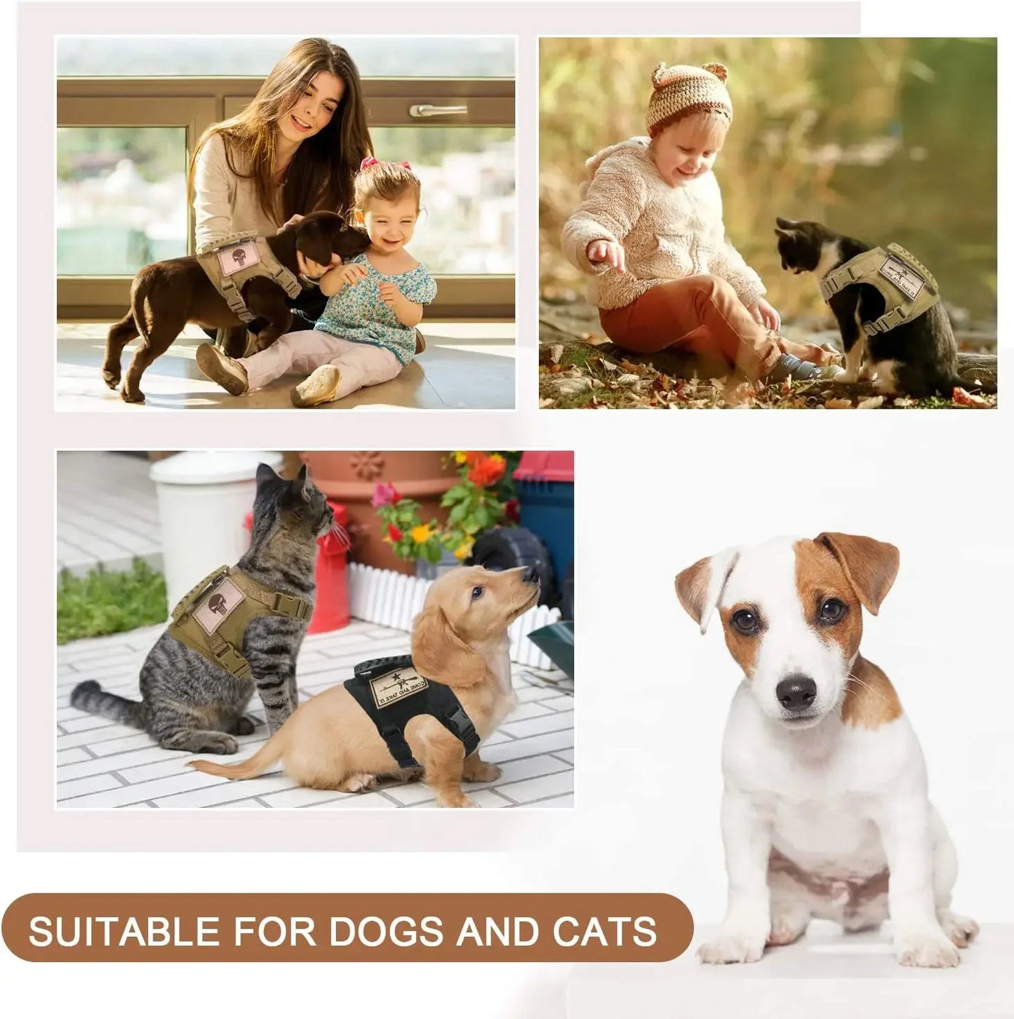 03-Adjustable Tactical Vest for Small Dogs – Outdoor &amp; Training