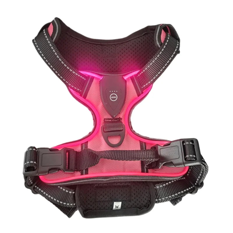 08-Pettorina LED ricaricabile per cani con 3 modalità di illuminazione
