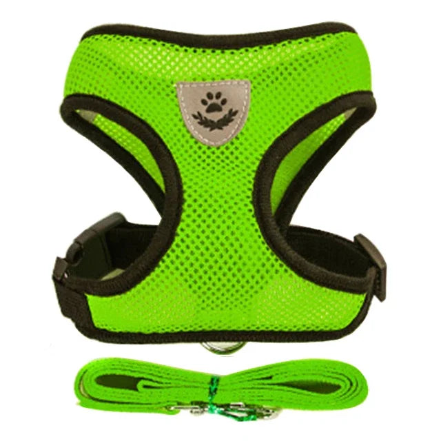 03-Breathable Harness with Leash for Cats and Small Dogs