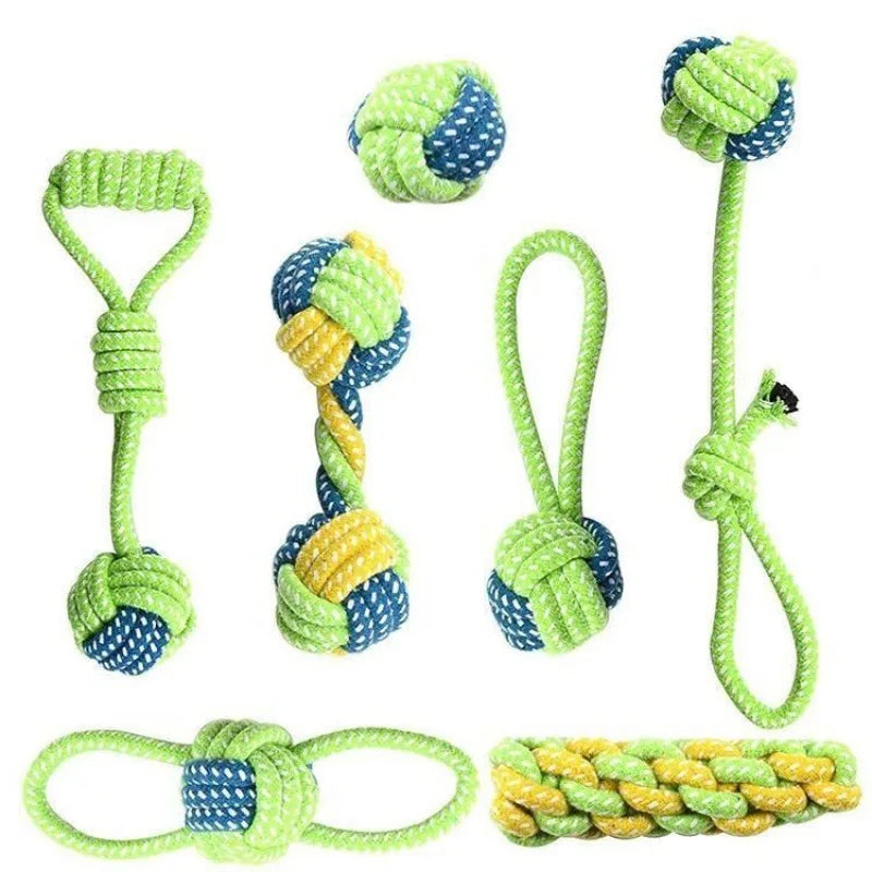 04-Gioco interattivo pet Toys.