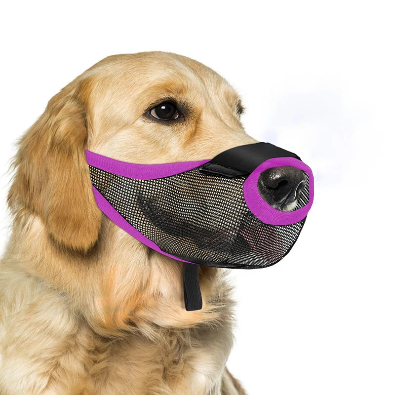 09-Filtering Mesh Muzzle for Dogs – Safety and Comfort