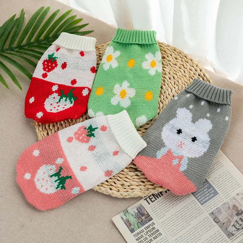 07-Autumn themed sweater for small pets.