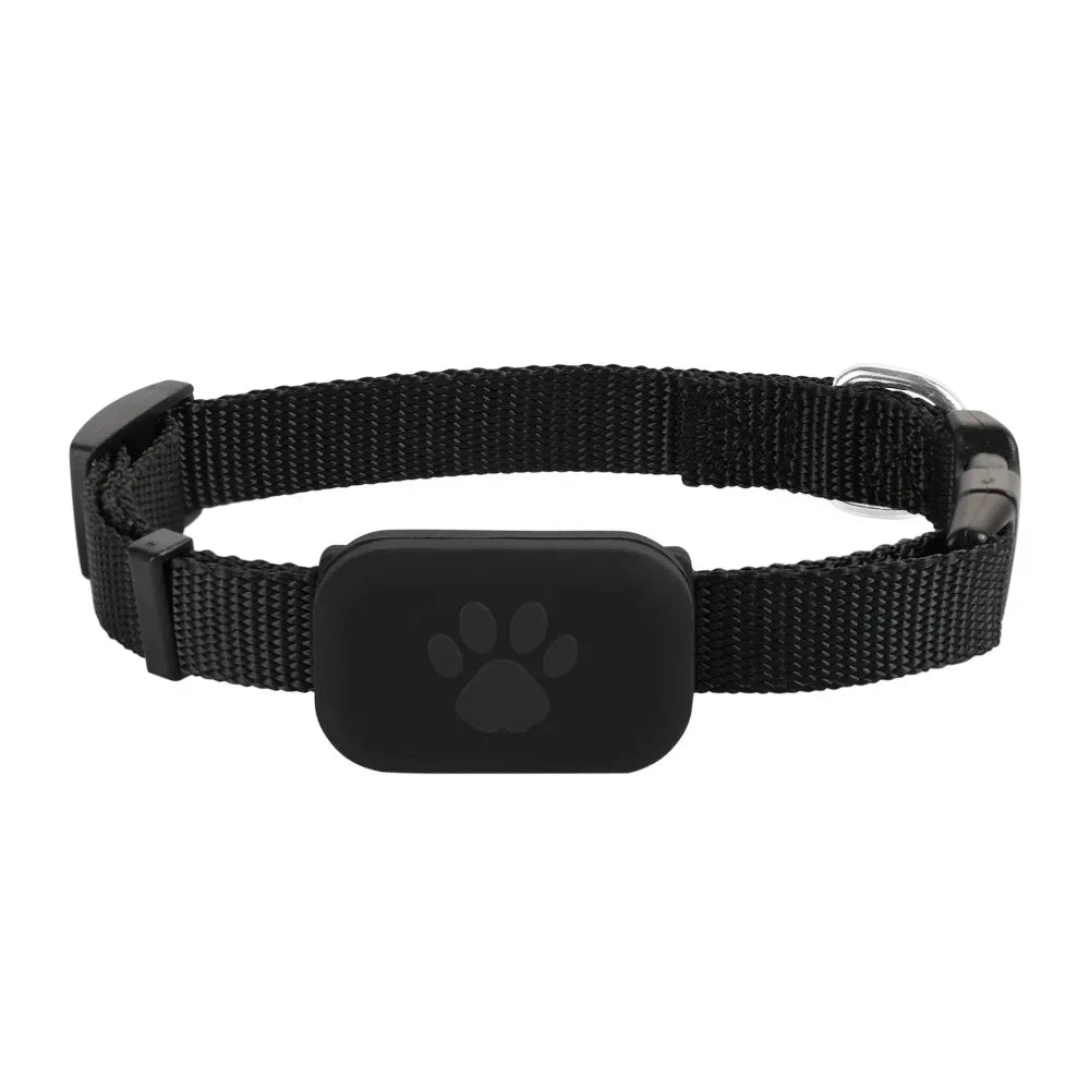 05-Bluetooth GPS Tracker Dog.